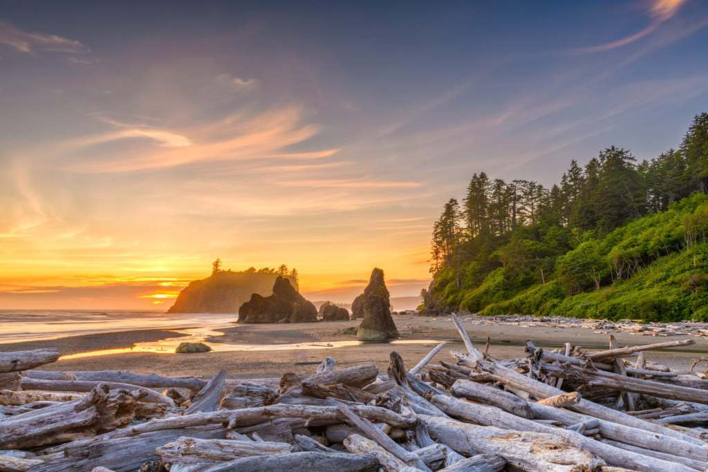 10 of the Best Places to Visit in Washington While on Assignment Olympic National Park, Washington, USA at Ruby Beach with piles of deadwood.