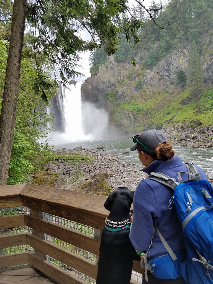 Tips for Travel Nursing With Your Pet Snoqualmie Falls