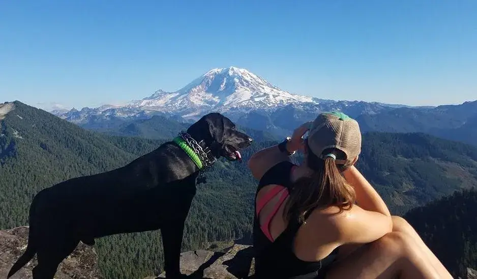travel nurse takes dog with her on adventures