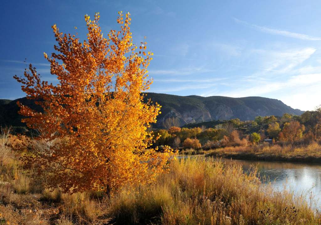 fall in taos new mexico