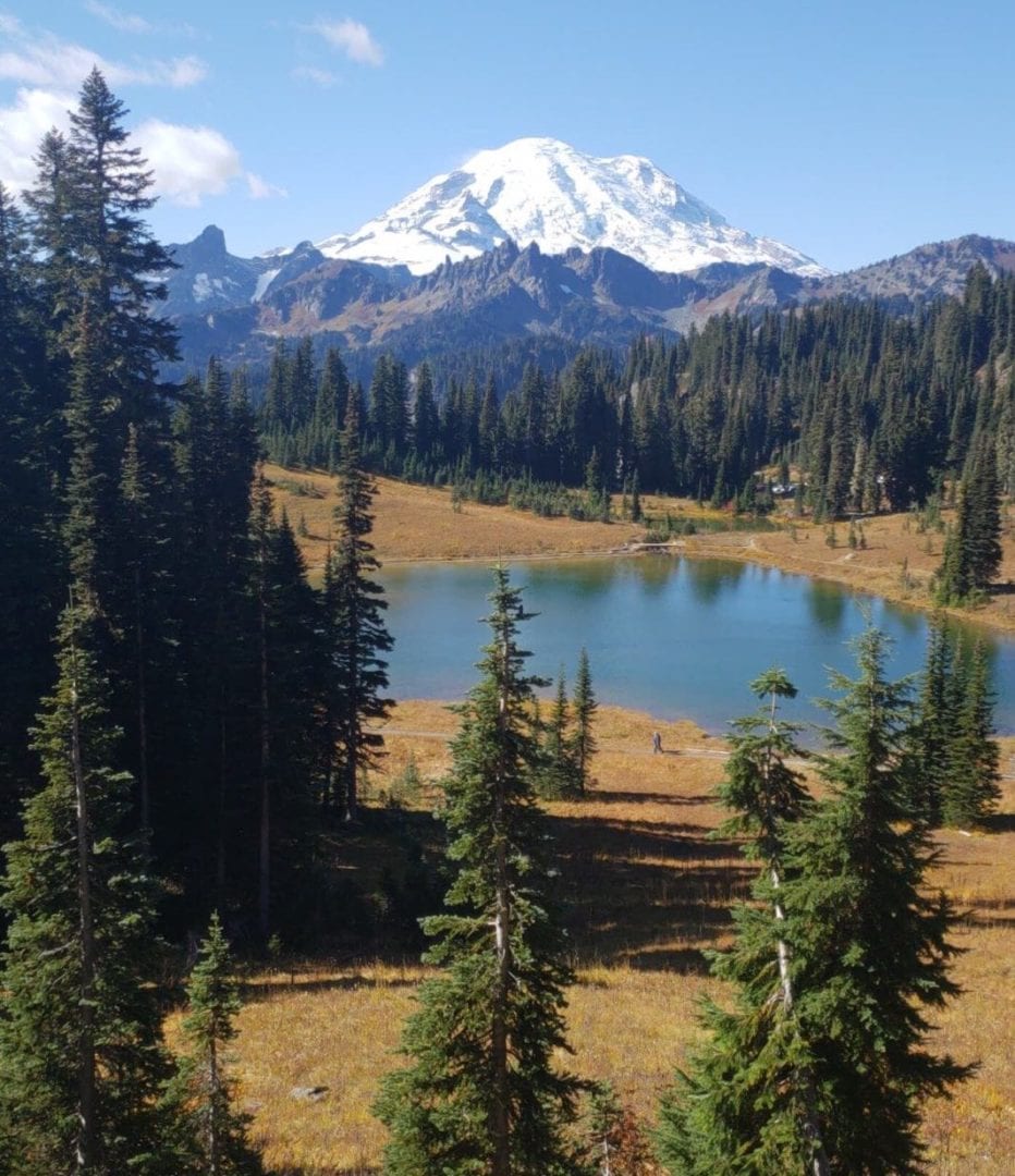 Health Care Traveling in Washington During the Winter travel nurse jobs washington