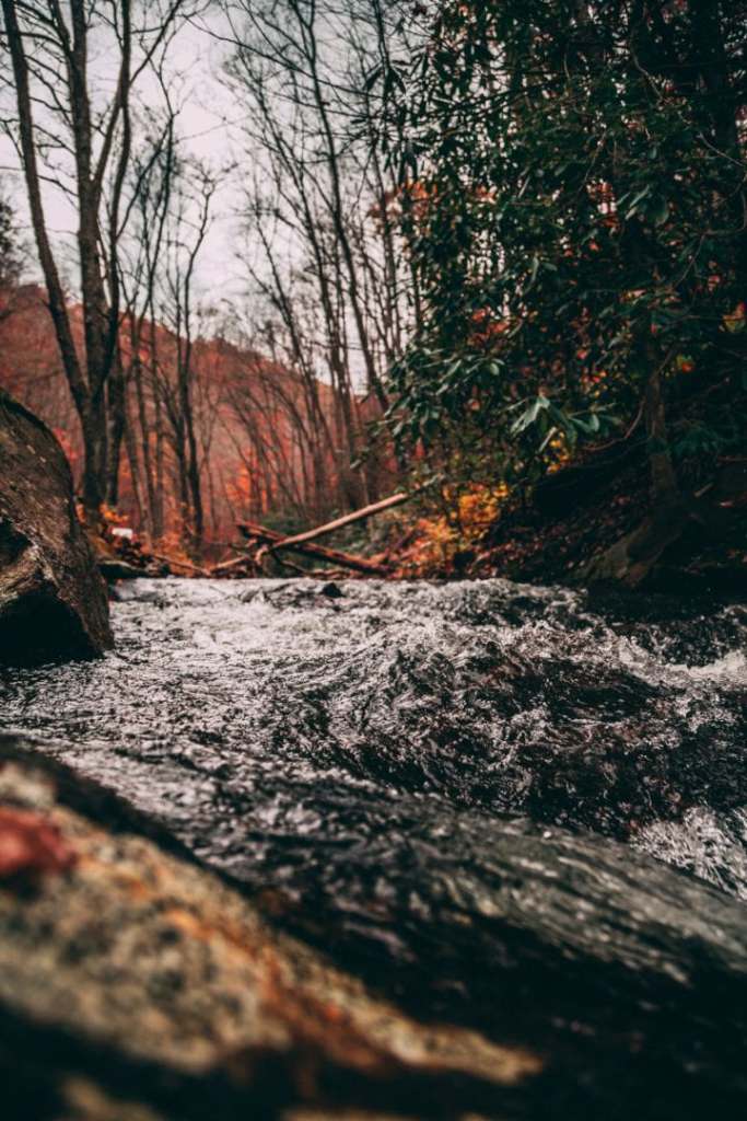 Day Trip Planner: Great Ideas for Your Day Off in Charlotte travel nurse jobs north carolina