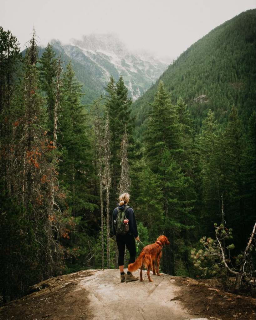 The Health Care Traveler Guide: Dog-Friendly Hikes in the PNW travel nursing with pets