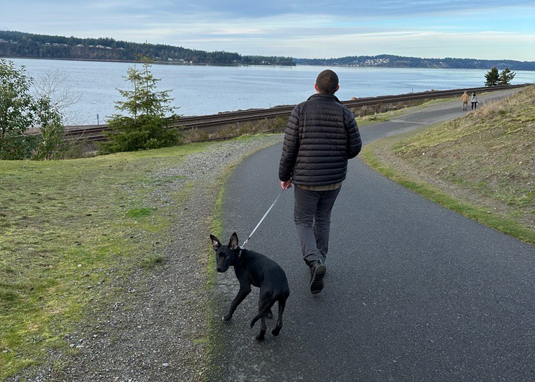 Top Dog-Friendly Cities for Healthcare Travelers Top Dog-Friendly Cities for Healthcare Travelers