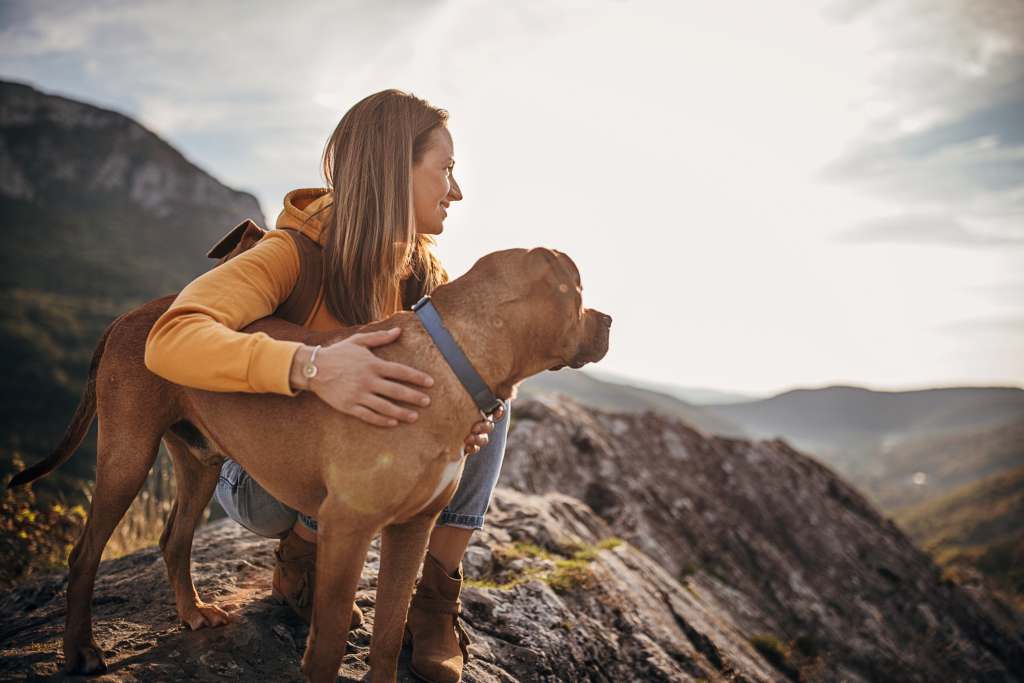 Top Dog-Friendly Cities for Healthcare Travelers Top Dog-Friendly Cities for Healthcare Travelers