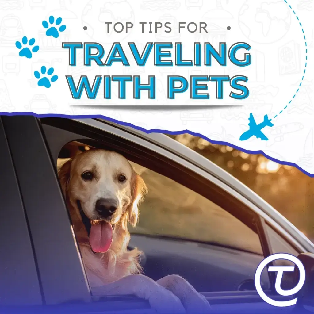 Top Tips for Traveling with Your Pets