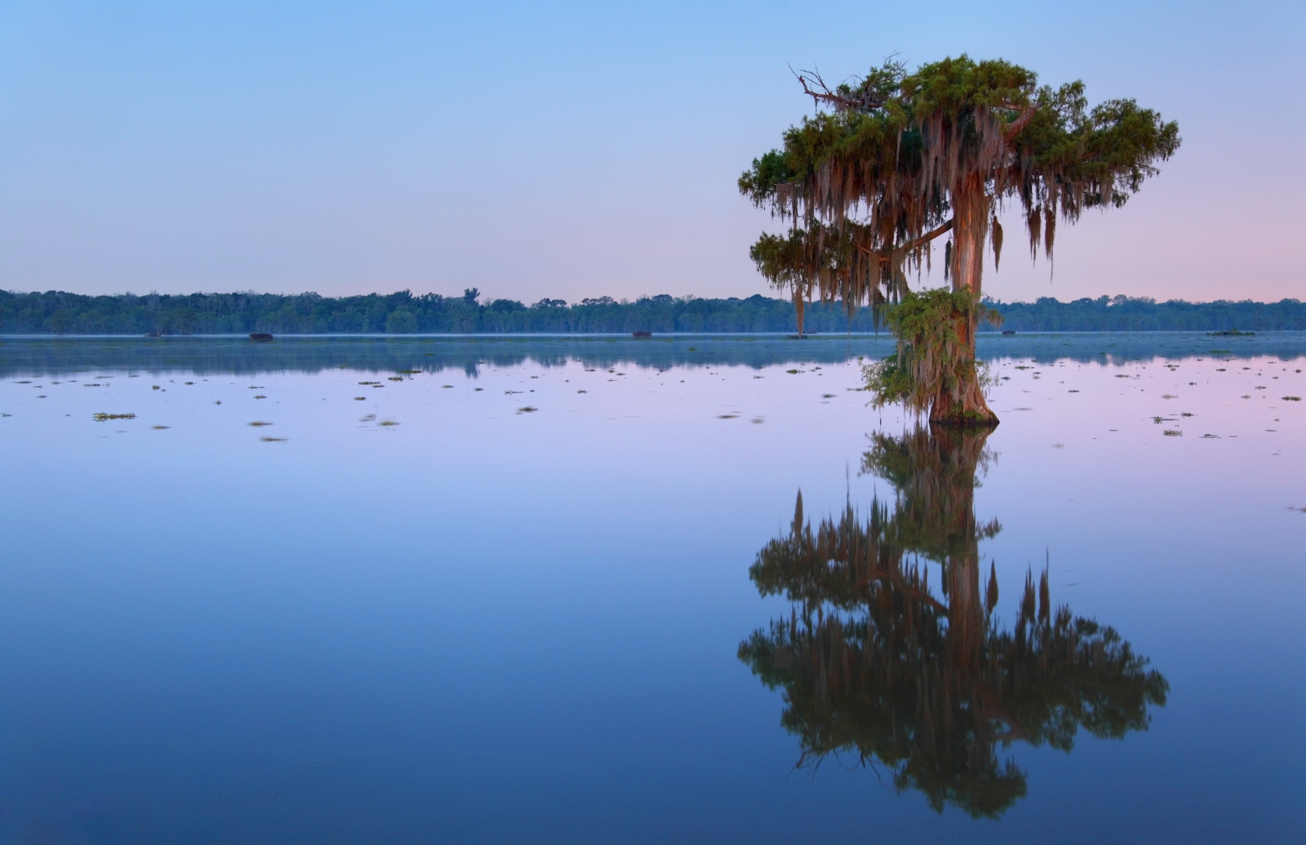 Why Healthcare Travelers Will Love Louisiana