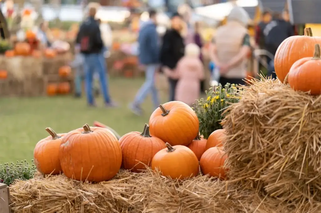 Maximize Your Fall Vibes on Travel Assignments