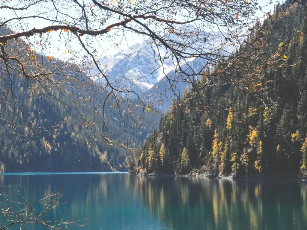Why Experienced Travel Healthcare Pros Are Quietly Leaving Their Agencies travel healthcare agency